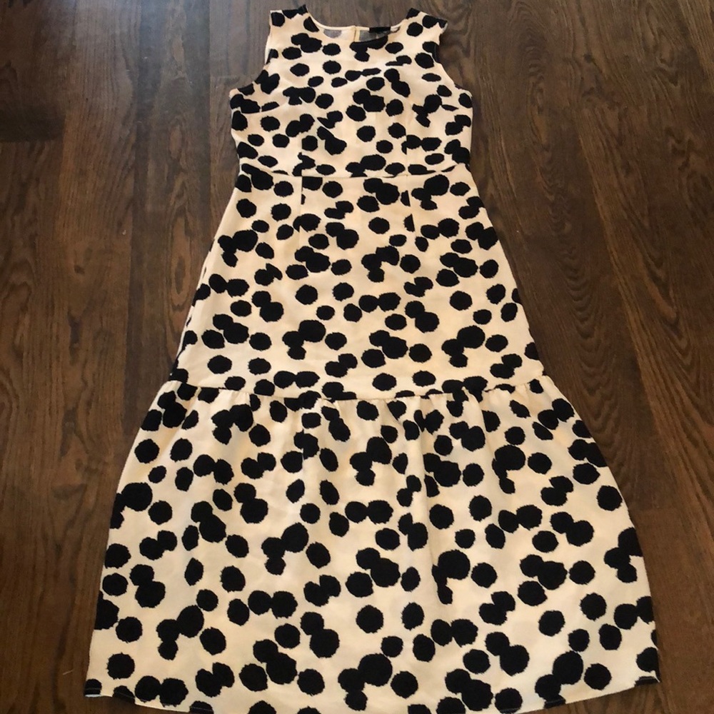 Who what wear polka dot dress